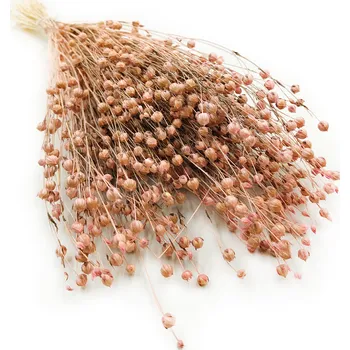 mech-mech.cz Sušený Len (Linum) - Světle růžový