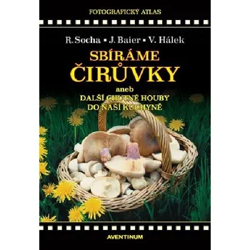 Příroda Sbíráme čirůvky a další chutné houby do naší kuchyně - Jiří Baier, Václav Hálek, Radomír Socha