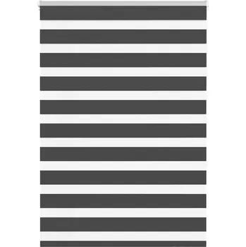 Žaluzie Zebra roleta černá 105x150 cm šířka látky 100,9 cm polyester Černý4014236