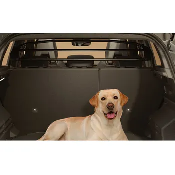 Renault Dělicí mříž