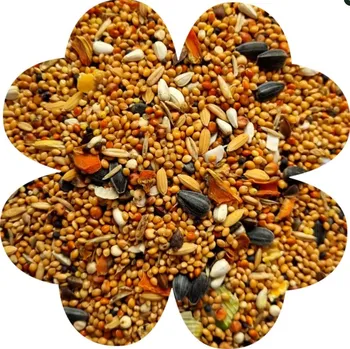 Krmivo pro ptáka KRMIVO PRO PAPOUŠKY NIMF ALEGIA ENJOY 900G PROSO POHANKA MRKEV VITAMÍNY