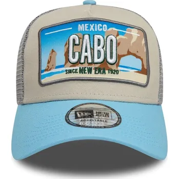 Kšiltovka NEW ERA kšiltovka - 940 Af Trucker License Plate Stndbl (STNDBL)