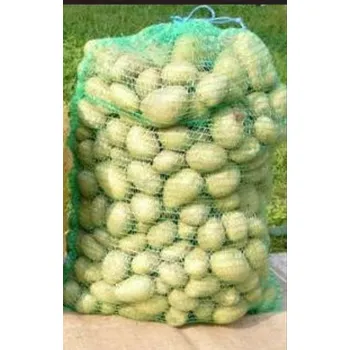 Pytel na brambory Rašlový pytel 60 x 100 cm (50 kg) na brambory, zeleninu a ovoce balení 100 ks zelená