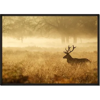 Obraz OBRAZ PLAKÁT V RÁMU 53x73 cm Zlatý Jelen P661