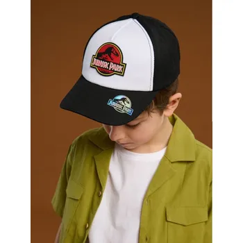 Kšiltovka Sinsay - Kšiltovka Jurassic Park - vícebarevná - 806DX-MLC - 806DX-MLC-M