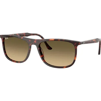 Ray-Ban RB2216 14290A