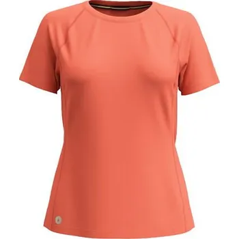 Dámské tričko Tričko SMARTWOOL W ACTIVE ULTRALITE SHORT SLEEVE Lady velikost XL