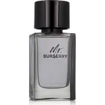 Burberry Mr. EDT 100 ml M (Nový obal)
