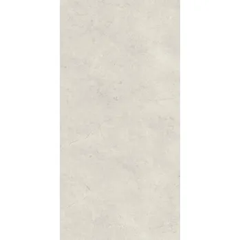 PARADYZ OBKLAD AFTERNOON SILVER MAT 29,8x59,8 PAR-160604