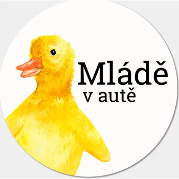 Samolepicí dekorace na vozidlo ePiPí Samolepka na auto - Mládě v autě