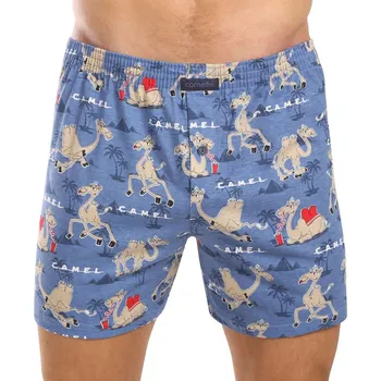 Pánské spodní prádlo Cornette Pánské trenky Classic vícebarevné (001/154) XL