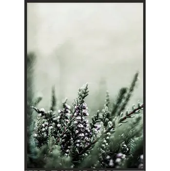 Obraz OBRAZ PLAKÁT V RÁMU 33x43 cm Louka P1773