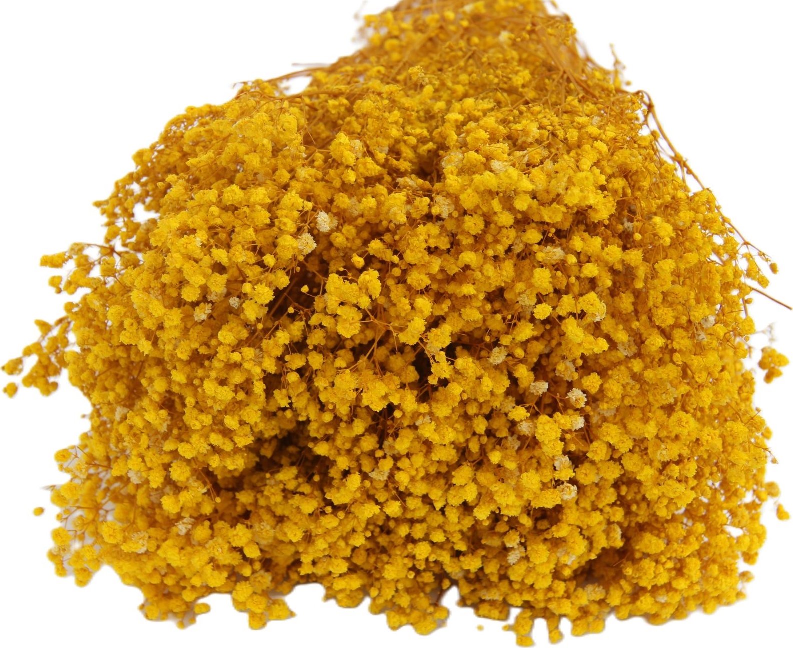 Nevěstin závoj - Gypsophila stabilizovaná žlutá 300 g