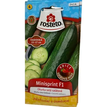 Semeno Rosteto Okurka sklen. - Minisprint F1 kr 7s