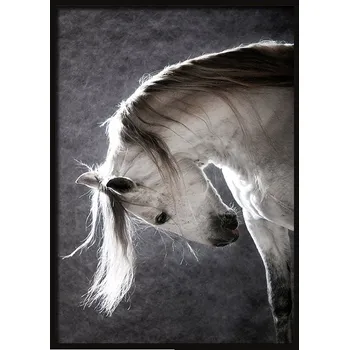 Obraz OBRAZ, PLAKÁT V RÁMU 33x43 cm Kůň P506