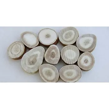 Sob paroh - Reindeer 10 mm 7006