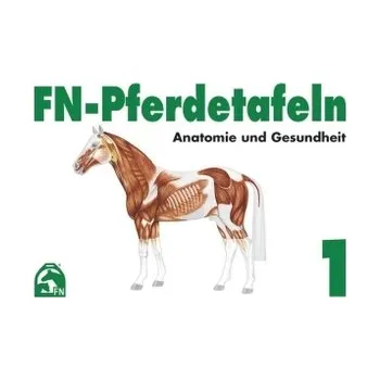 Anatomie und Gesundheit