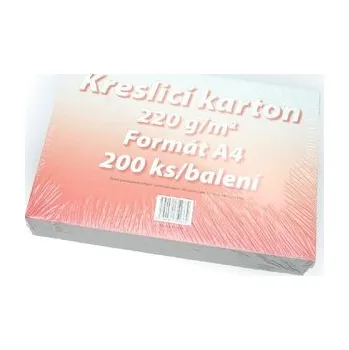 Karton Kreslící karton 220g A1 (100ks)