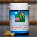 TCM Herbs Vyvanutí dračí jeskyně (007) 3 tablet – osobní odběr v Pardubicích a Jihlavě
