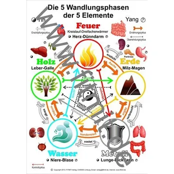 Die 5 Wandlungsphasen - Aeckersberg, Tanja