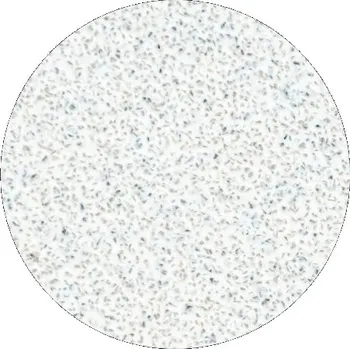 Brusný kotouč STALEKS Náhradní brusný papír pro pedikérský kotouč Pro L hrubost 80 (White Refill Pads for Pedicure Disc) 50 ks + 2 měsíce na vrácení zboží