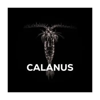 Boilies Squat Carp Hi-Attract Boilies v dipu Calanus 24mm 220gr