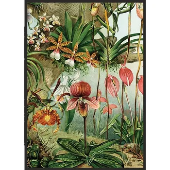 Obraz Plakát obraz plakát v rámu 53 x 73 cm