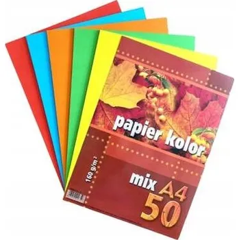 BAREVNÝ BLOK pro Děti KRESLICÍ A4 160g/m2 mix 5 barev 50 LISTŮ