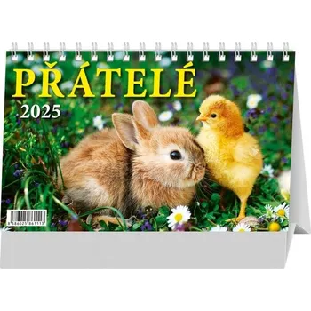 Kalendář SPEKTRUM GRAFIK Stolní kalendář 2025 Přátelé