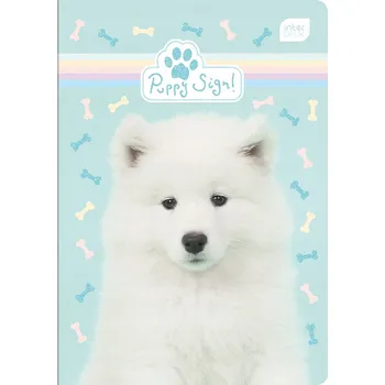 Sešit Sešit A5 s mřížkou Interdruk, 16 listů, vícebarevný