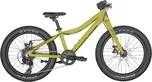 Scott Roxter 20" 2025 zelené