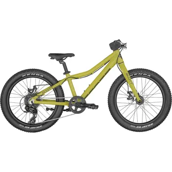 Scott Roxter 20" 2025 zelené