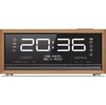 Carneo C100/2,5W/Černá