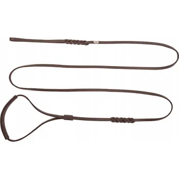 Vodítko pro psa Kožené vodítko Dingo s Vodítko 2,5 m