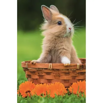 Puzzle TREFL Puzzle Roztomilá zvířátka: Králíček v košíku 54 dílků