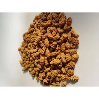 Návnadová surovina Obrovský Africký XXXL tygří ořech 15-35mm 10 kg (Největší tygří ořech na trhu.)