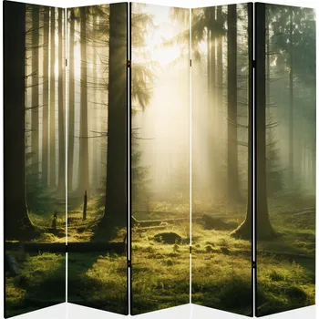 Paraván Paraván závěs salon kadeřník stěna pokoje 225x172 cm krajina les