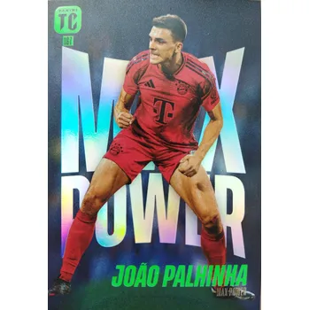 Sběratelská karetní hra Joao Palhinha