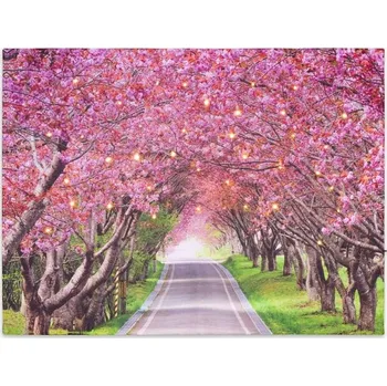 Obraz Nástěnný obraz s LED osvětlením alej 30x40 cm na plátně