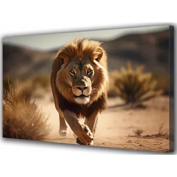 Obraz Obraz na plátně canvas Lev Savana Zvířata 30x20 cm