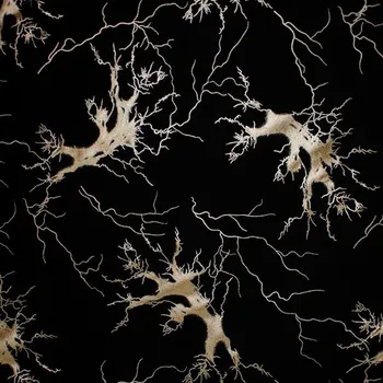 Šatovka N6728 černá, zlatý vzor, š.150