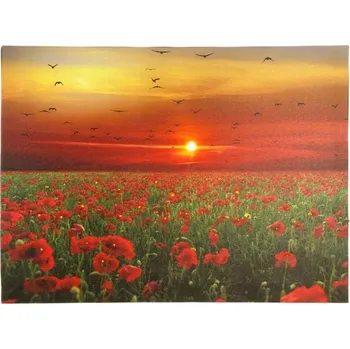 Obraz Nexos Nástěnný obraz na plátně 30 x 40 cm Vlčí máky