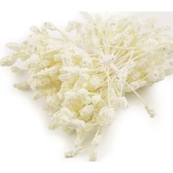 Bytová dekorace Květinové pestíky - 2 krémová světlá mat