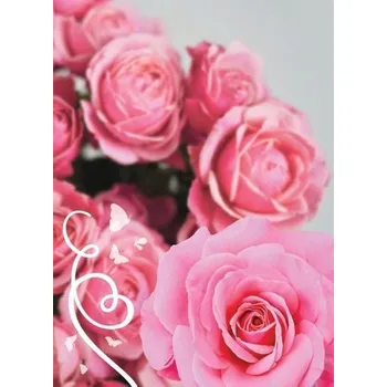 Set školních potřeb Karnet B6 Uniwersalny