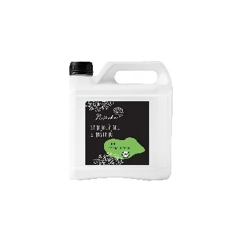 Sprchový gel Natasha Sprchový gel z kaštanů Máta a Citronová tráva 3 l