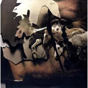 Zahraniční hudba 2LP Jenny Hval: Viscera 2011 45 RPM Vinyl