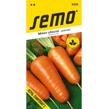 Semeno Mrkev - Royal Chantenay 2 poloraná 3g