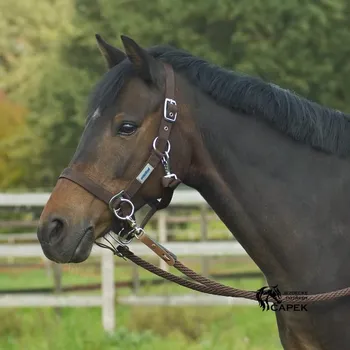 Ohlávka Busse -RIDING- - Hnědá - Cob