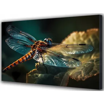 Obraz Obraz na plátně do ložnice Velká vážka Hmyz na listu 100x70 cm