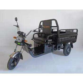 Elektromobilita Leramotors Cargo G1 1000W COC černá